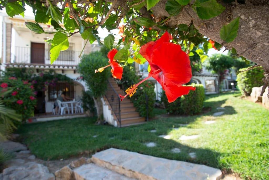 Ferienwohnung Casa En Denia Con Piscina Y Jardin Exterior foto