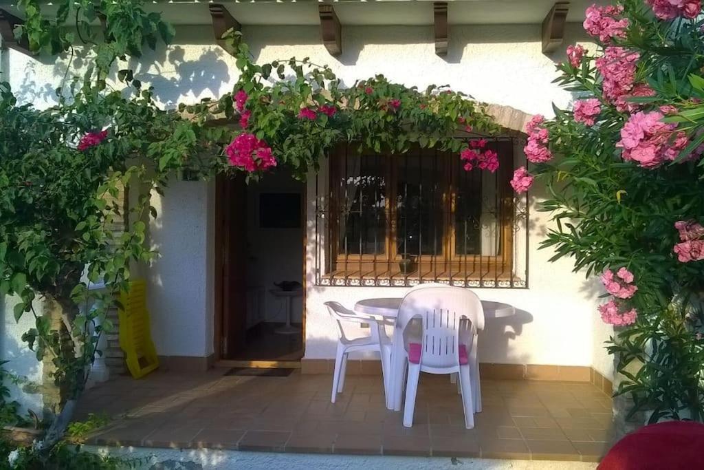 Ferienwohnung Casa En Denia Con Piscina Y Jardin Exterior foto